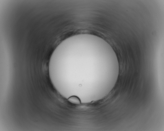 X0000114660614200910201022