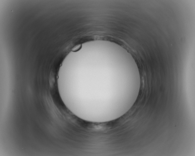 X0000114660618200910201022