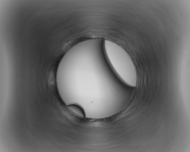 X0000114660620200910201022