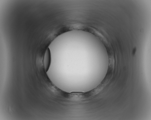 X0000114660621200910201022