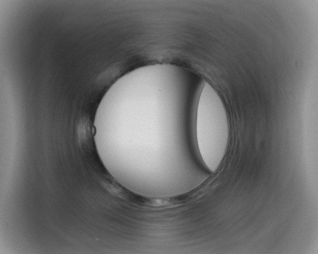 X0000114660623200910201022