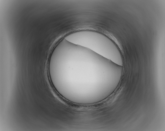 X0000114660625200910201021