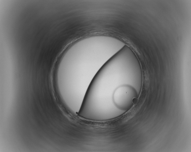 X0000114660626200910201021
