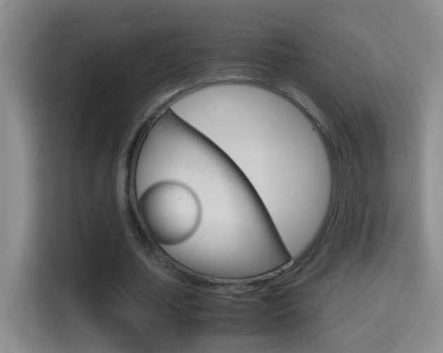 X0000114660627200910201021
