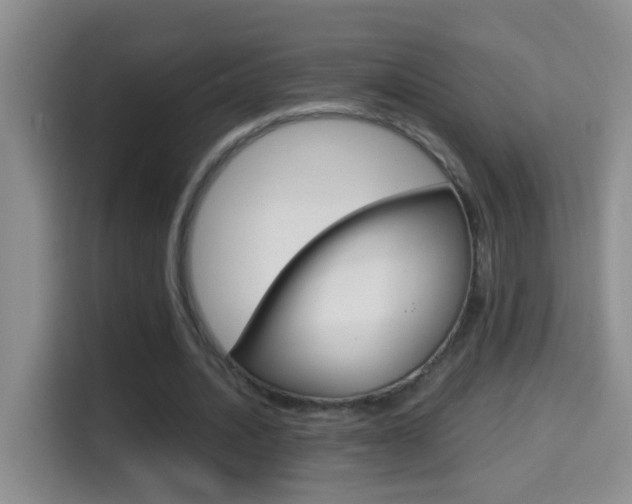 X0000114660628200910201021