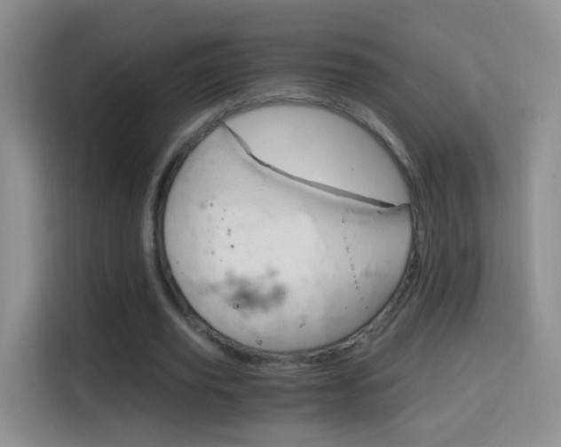 X0000114660629200910201021