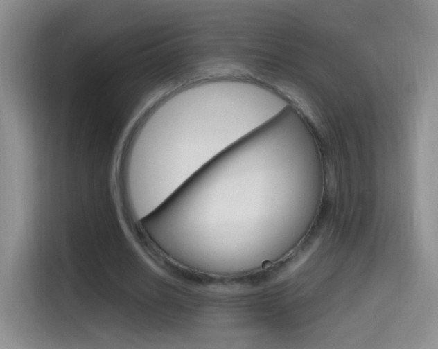 X0000114660630200910201021
