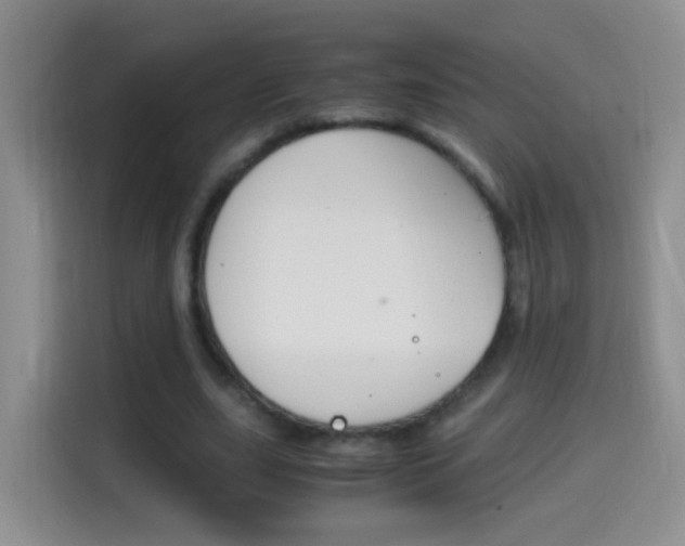 X0000114660631200910201021