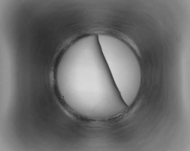 X0000114660633200910201021