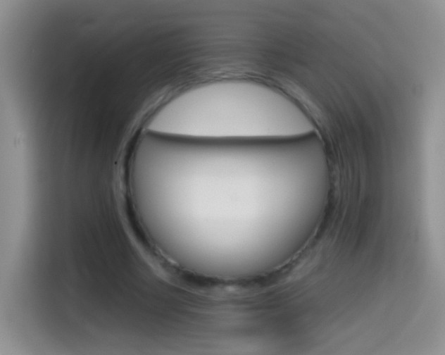 X0000114660634200910201021