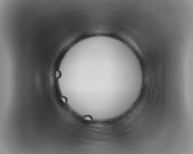 X0000114660635200910201021