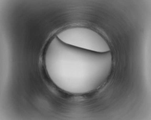 X0000114660636200910201021
