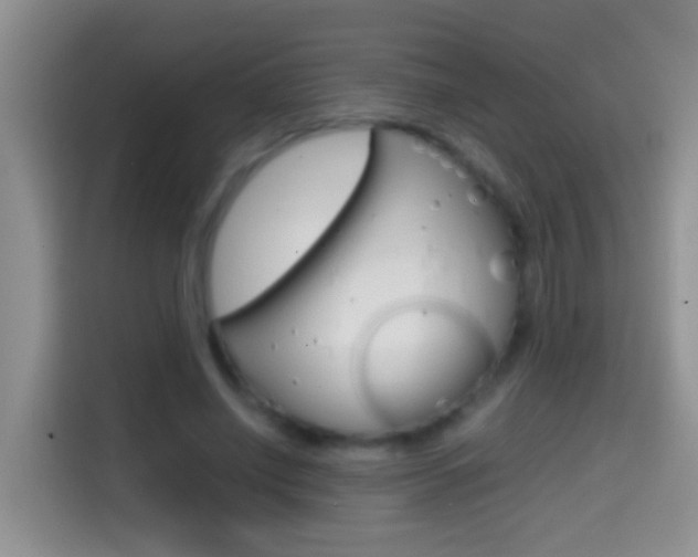 X0000114660638200910201021