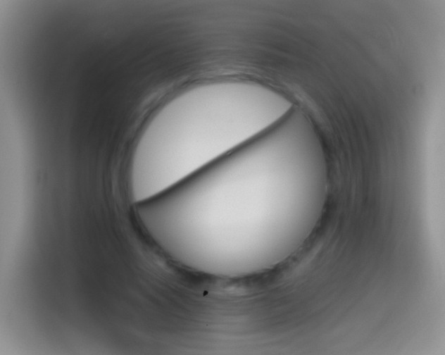 X0000114660640200910201021