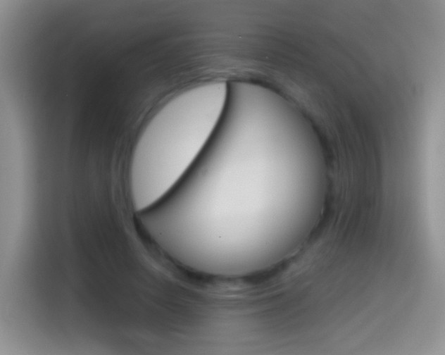 X0000114660642200910201021