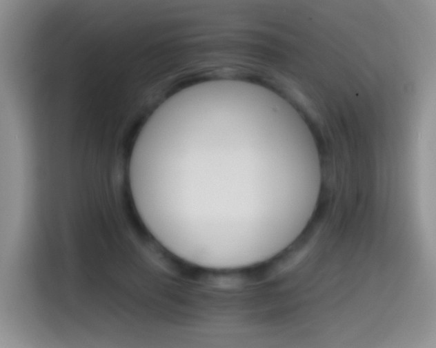 X0000114660645200910201021