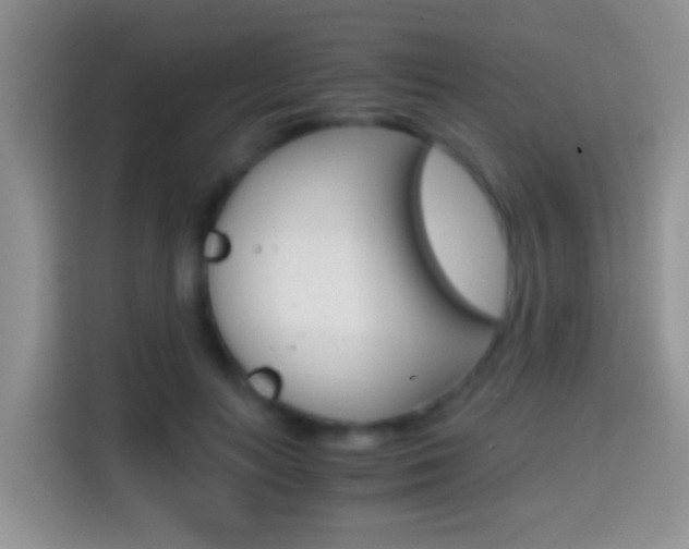 X0000114660647200910201022