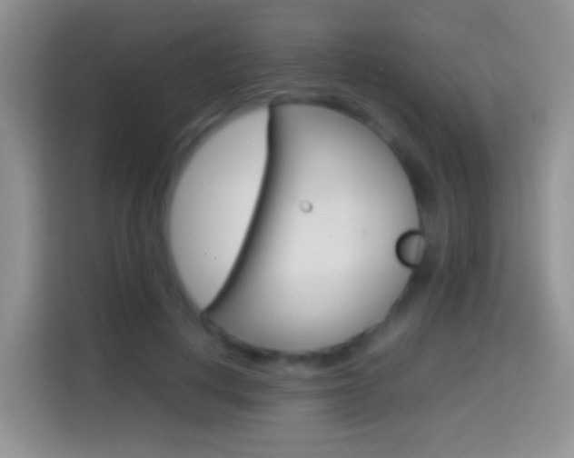 X0000114660648200910201022