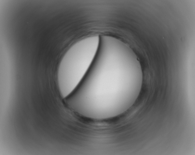 X0000114660650200910201022