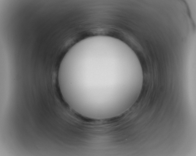 X0000114660652200910201022