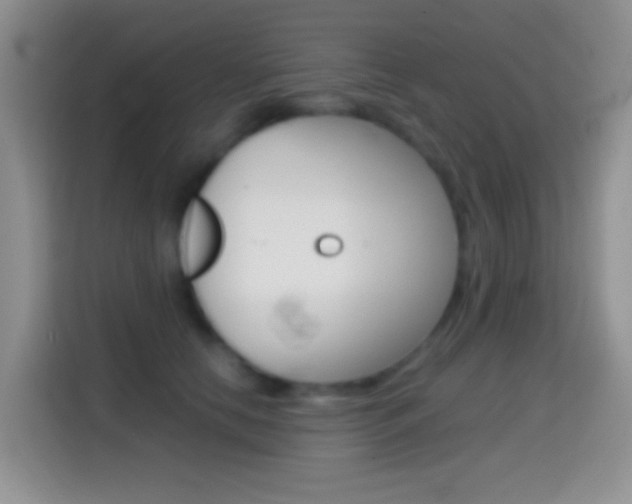 X0000114660658200910201022