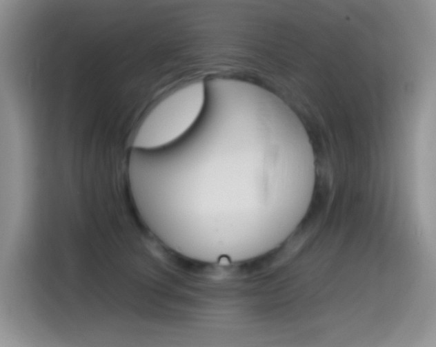 X0000114660660200910201022