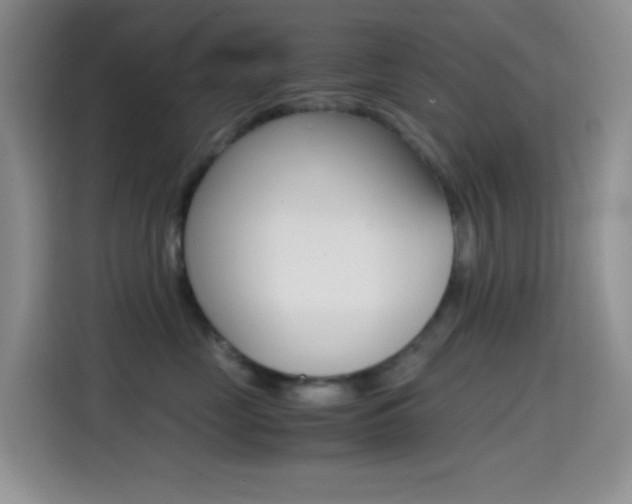 X0000114660669200910201022