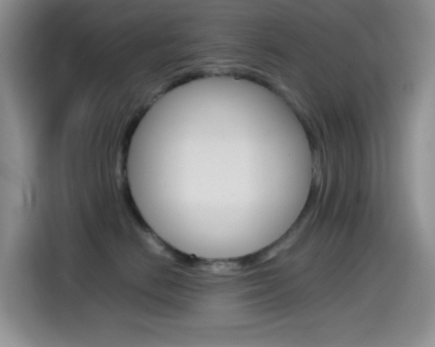 X0000114660670200910201022