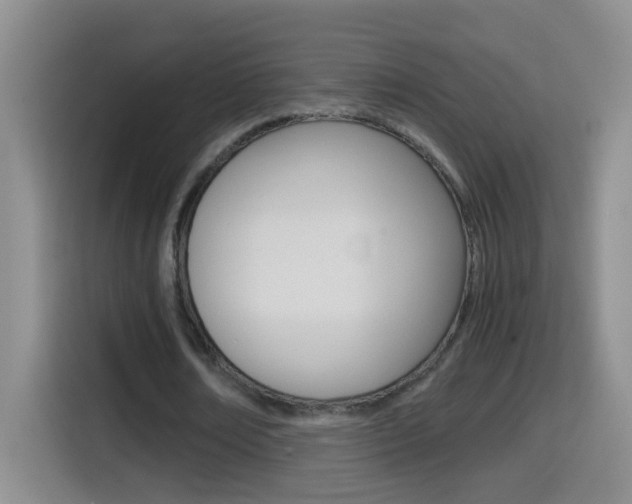 X0000114660674200910201021