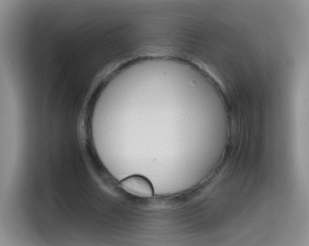 X0000114660682200910201021