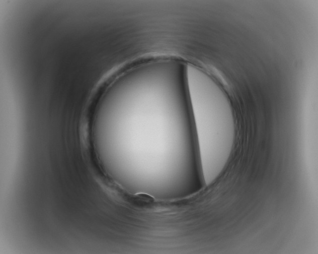 X0000114660684200910201021