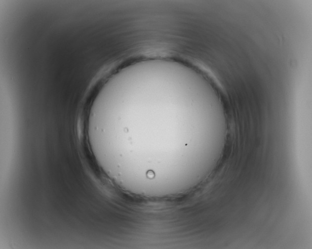 X0000114660686200910201021