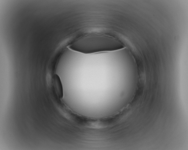 X0000114660688200910201021