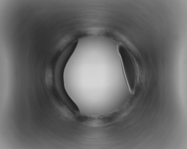 X0000114660696200910201021