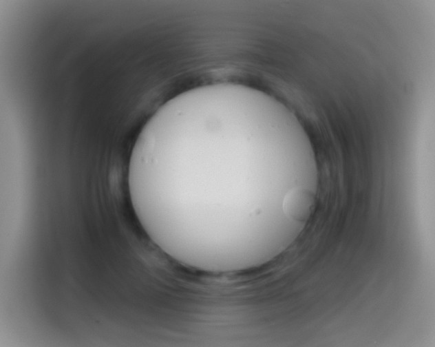 X0000114660698200910201021
