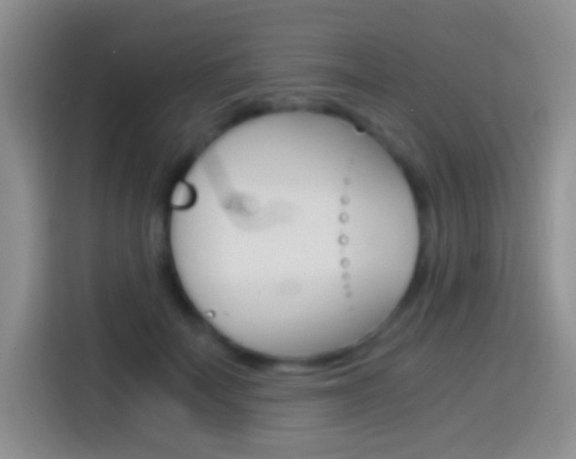 X0000114660699200910201021