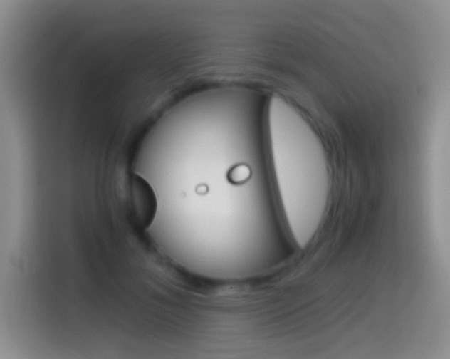 X0000114660700200910201021