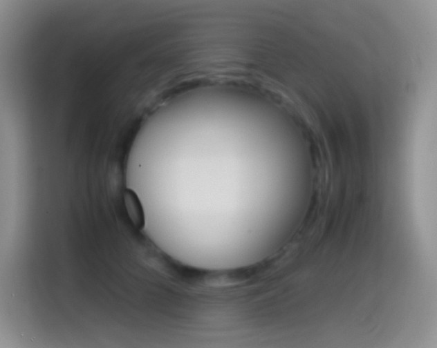 X0000114660704200910201021