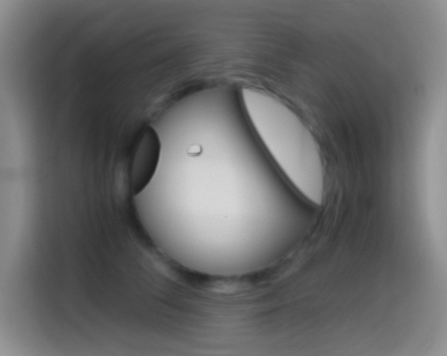 X0000114660708200910201021