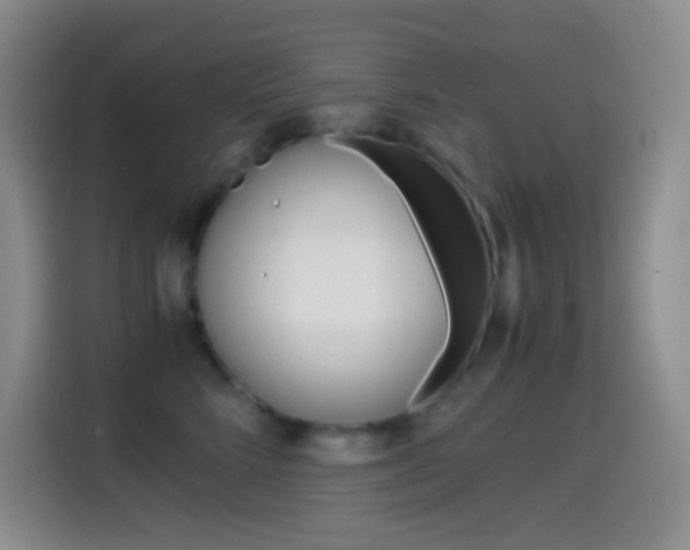 X0000114660712200910201021