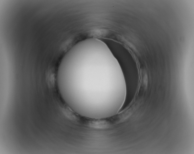 X0000114660716200910201021