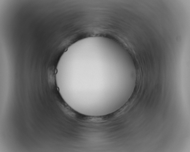 X0000114660719200910201021