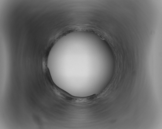 X0000114660720200910201021