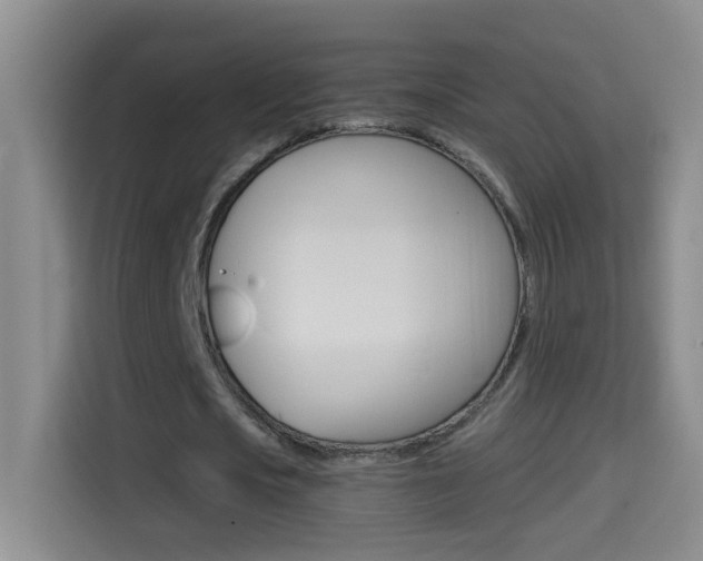 X0000114660721200910201020
