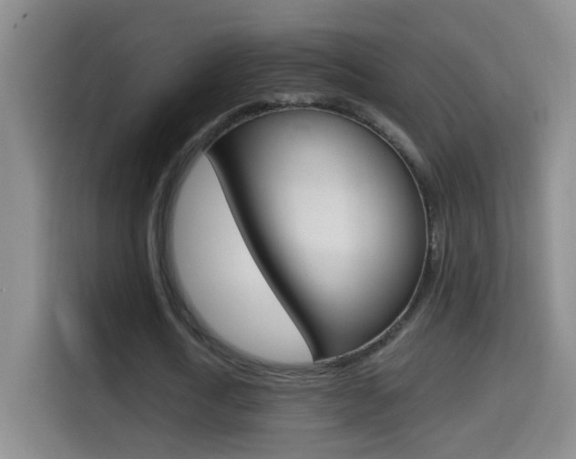 X0000114660722200910201020