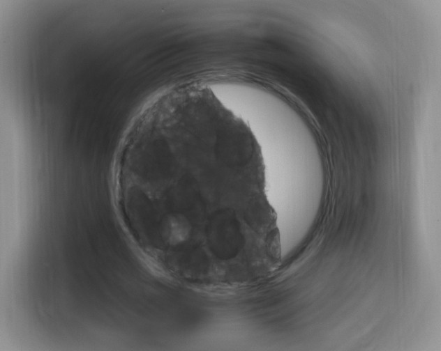 X0000114660725200910201020
