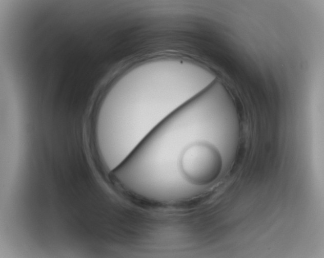 X0000114660734200910201020