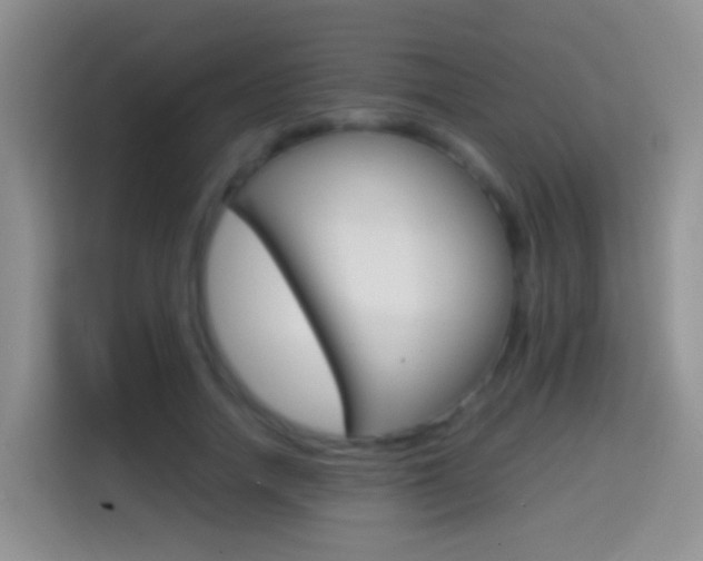 X0000114660738200910201020