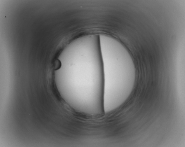 X0000114660739200910201020