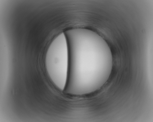X0000114660742200910201020